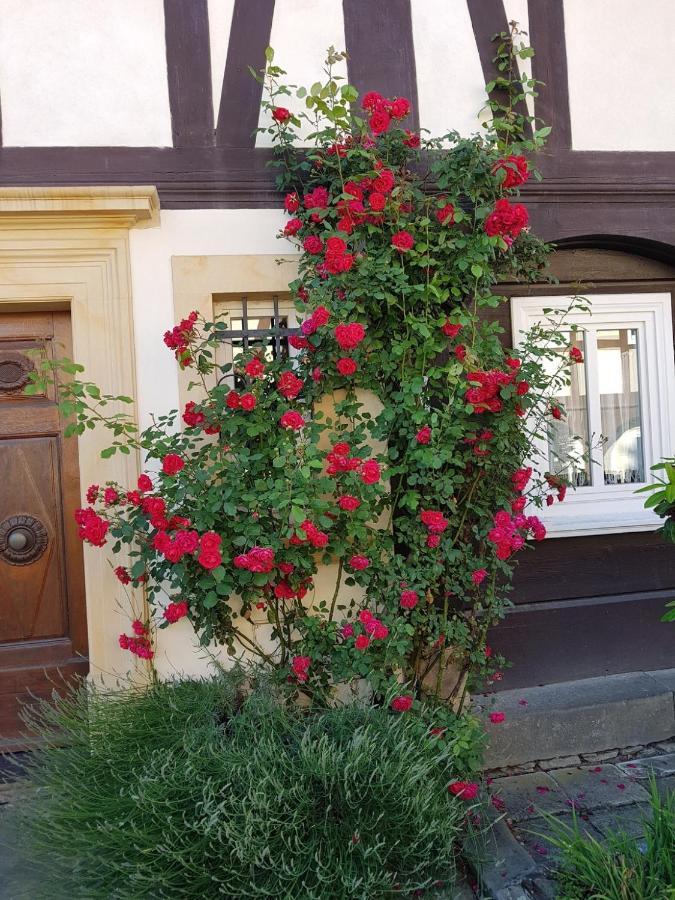 Fewo Niedere Muehlwiese Lägenhet Großschönau Exteriör bild